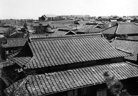 �P�X�T�O�N��