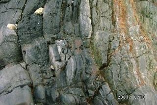 ����C�ݒn�w