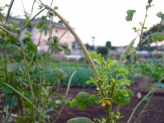 ���т�����