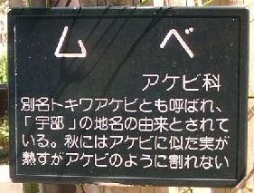 �F���E���R���̕ܓ��ɂ�